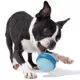 Product Bark Super Chewer Glowball Dog Toy