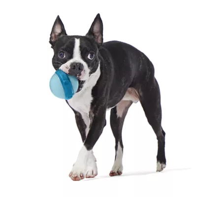 Product Bark Super Chewer Glowball Dog Toy