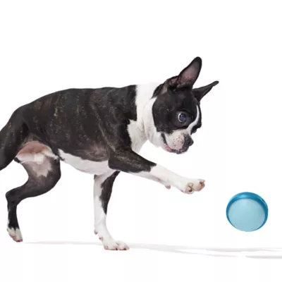 Product Bark Super Chewer Glowball Dog Toy