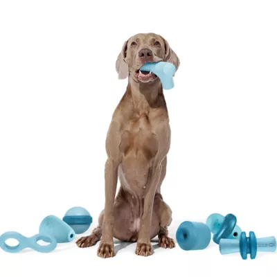 Product Bark Super Chewer Glowball Dog Toy