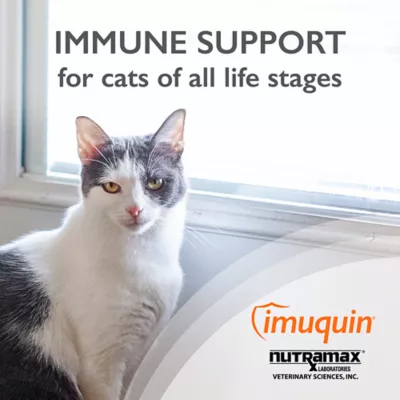 Product Nurtamax Imuquin - Immune Support for Cats