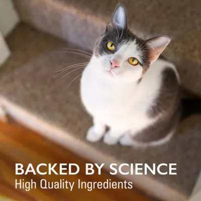Product Nurtamax Imuquin - Immune Support for Cats