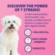 Product Nutramax® Proviable-DC Digestive Supplement for Cats & Dogs