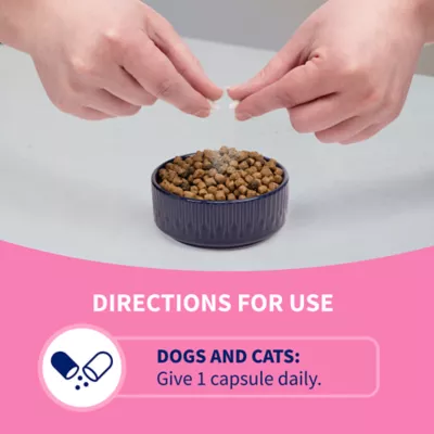 Product Nutramax® Proviable-DC Digestive Supplement for Cats & Dogs