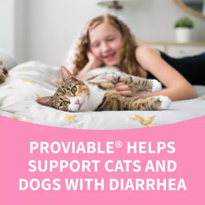 Product Nutramax® Proviable-DC Digestive Supplement for Cats & Dogs