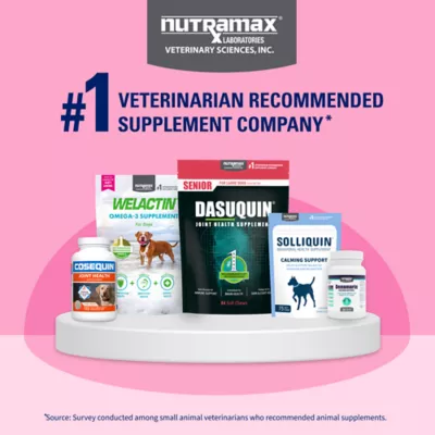 Product Nutramax® Proviable-DC Digestive Supplement for Cats & Dogs