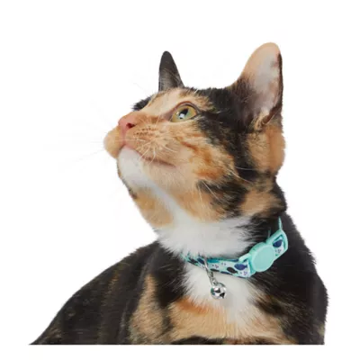 Product Whisker City® Light Blue Fish Easy Release Kitten Collar