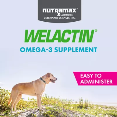 Product Nutramax® Welactin Omega-3 Soft Chews