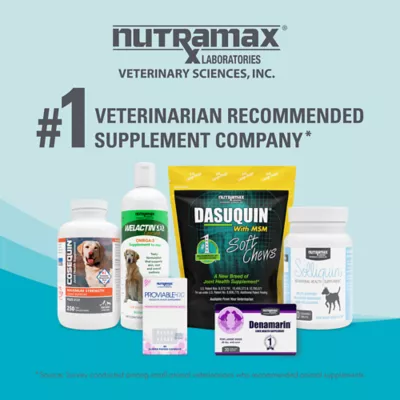 Product Nutramax® Welactin Omega-3 Soft Chews