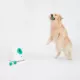 Product Joyhound® Electronic Ball Launcher Dog Toy