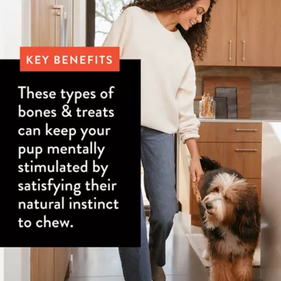 Product Dentley's Natural Chews All Living Stages Bone Dog Chews - Value Pack