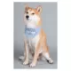 Product Touchdog Dizzy-Eyed Cyclops Cotton Velcro Dog Bandana & Scarf
