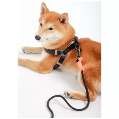Product Touchdog Macaron 2-in-1 Durable Nylon Dog Harness and Leash