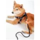 Product Touchdog Macaron 2-in-1 Durable Nylon Dog Harness and Leash