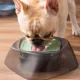 Product Pet Life Hydritate Anti-Puddle Drinking Water Pet Bowl