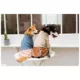Product Touchdog Modress Fashion Designer Dog Sweater Dress
