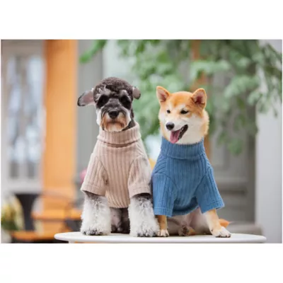 Product Touchdog Modress Fashion Designer Dog Sweater Dress
