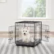 Product Top Paw® Double Door Folding Wire Dog Crate with Divider Panel