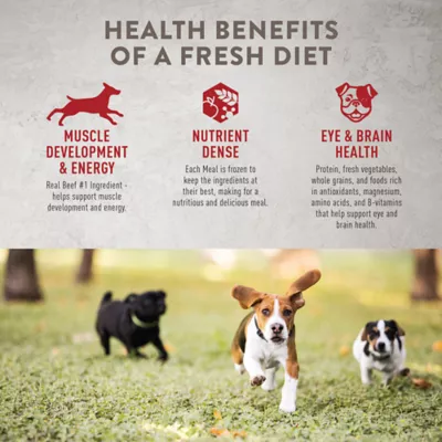 Product Simply Nourish® Fresh Market Adult Frozen Dog Food - Beef & Barley