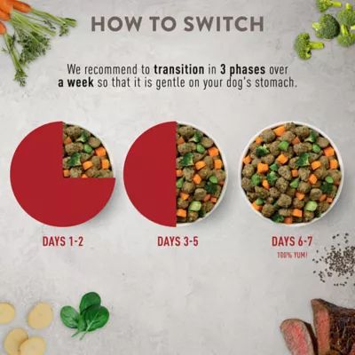 Product Simply Nourish® Fresh Market Adult Frozen Dog Food - Beef & Barley