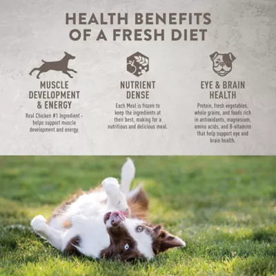 Product Simply Nourish® Fresh Market Adult Frozen Dog Food - Chicken & Vegetable