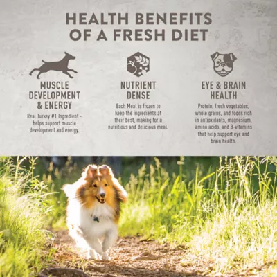 Product Simply Nourish® Fresh Market Adult Frozen Dog Food - Turkey & Sweet Potato