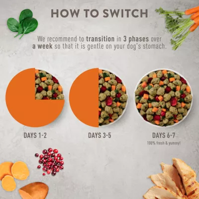 Product Simply Nourish® Fresh Market Adult Frozen Dog Food - Turkey & Sweet Potato