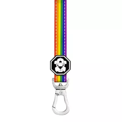 Product Fresh Pawz Pride Dog Leash 5-ft long