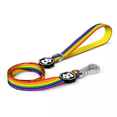Product Fresh Pawz Pride Dog Leash 5-ft long
