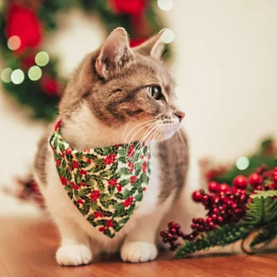 Product Made By Cleo Bandana- Holiday Holly