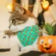Product Made By Cleo Bandana- Party Pumpkins