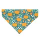 Product Made By Cleo Bandana- Pumpkin Patch