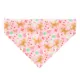 Product Made By Cleo Bandana- Sugar & Spice