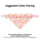 Product Made By Cleo Bandana- Sugar & Spice