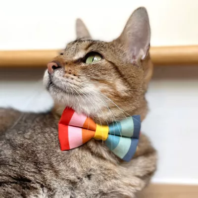 Product Made By Cleo® Carousel Rainbow Cat Bow Tie