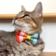 Product Made By Cleo® Carousel Rainbow Cat Bow Tie