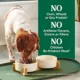 Product Nutro Natural Choice Small Bites Adult Dog Dry Food - Chicken & Brown Rice