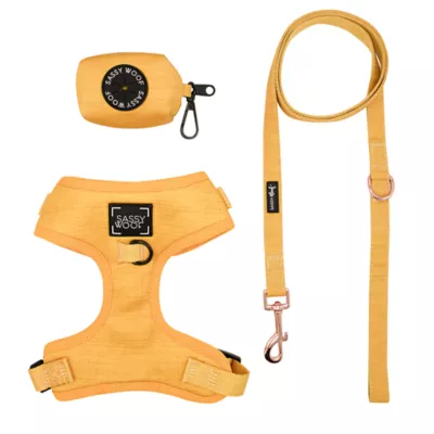 Product Sassy Woof Sunflower Dog Harness, Leash and Waste Bag Holder Bundle