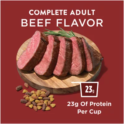 Product Purina Dog Chow Tender & Crunchy Adult Dry Dog Food - Beef