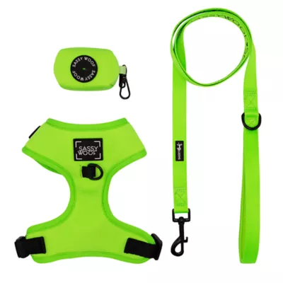 Product Sassy Woof Neon Dog Harness, Leash and Waste Bag Holder Bundle