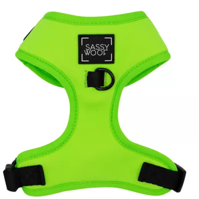 Product Sassy Woof Neon Dog Harness, Leash and Waste Bag Holder Bundle
