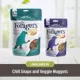 Product HARI Little Foragers Chili Snaps Oven Baked Parrot Bird Treats
