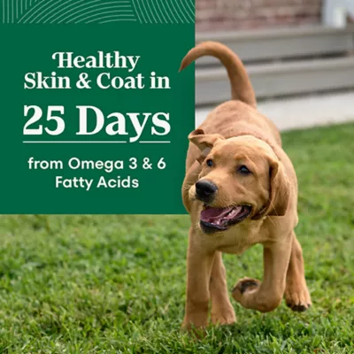 Product Nutro Natural Choice Large Breed Puppy Dry Dog Food - Chicken & Brown Rice, 13 lb