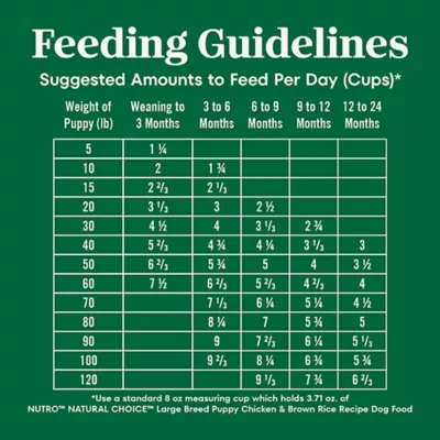 Product Nutro Natural Choice Large Breed Puppy Dry Dog Food - Chicken & Brown Rice, 13 lb