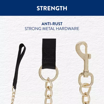 Product Top Paw® Heavy Chain Dog Leash: 4-ft long