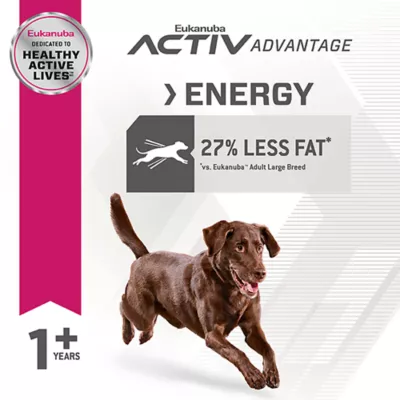 Product Eukanuba™ Fit Body Weight Control Large Breed Adult Dry Dog Food Chicken - 28 lb