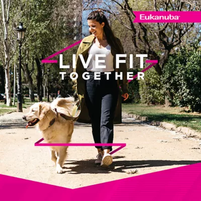 Product Eukanuba™ Fit Body Weight Control Large Breed Adult Dry Dog Food Chicken - 28 lb