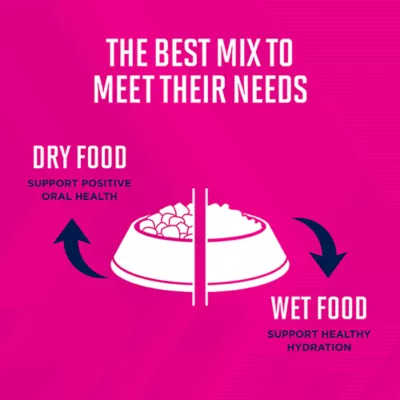 Product Eukanuba™ Fit Body Weight Control Large Breed Adult Dry Dog Food Chicken - 28 lb