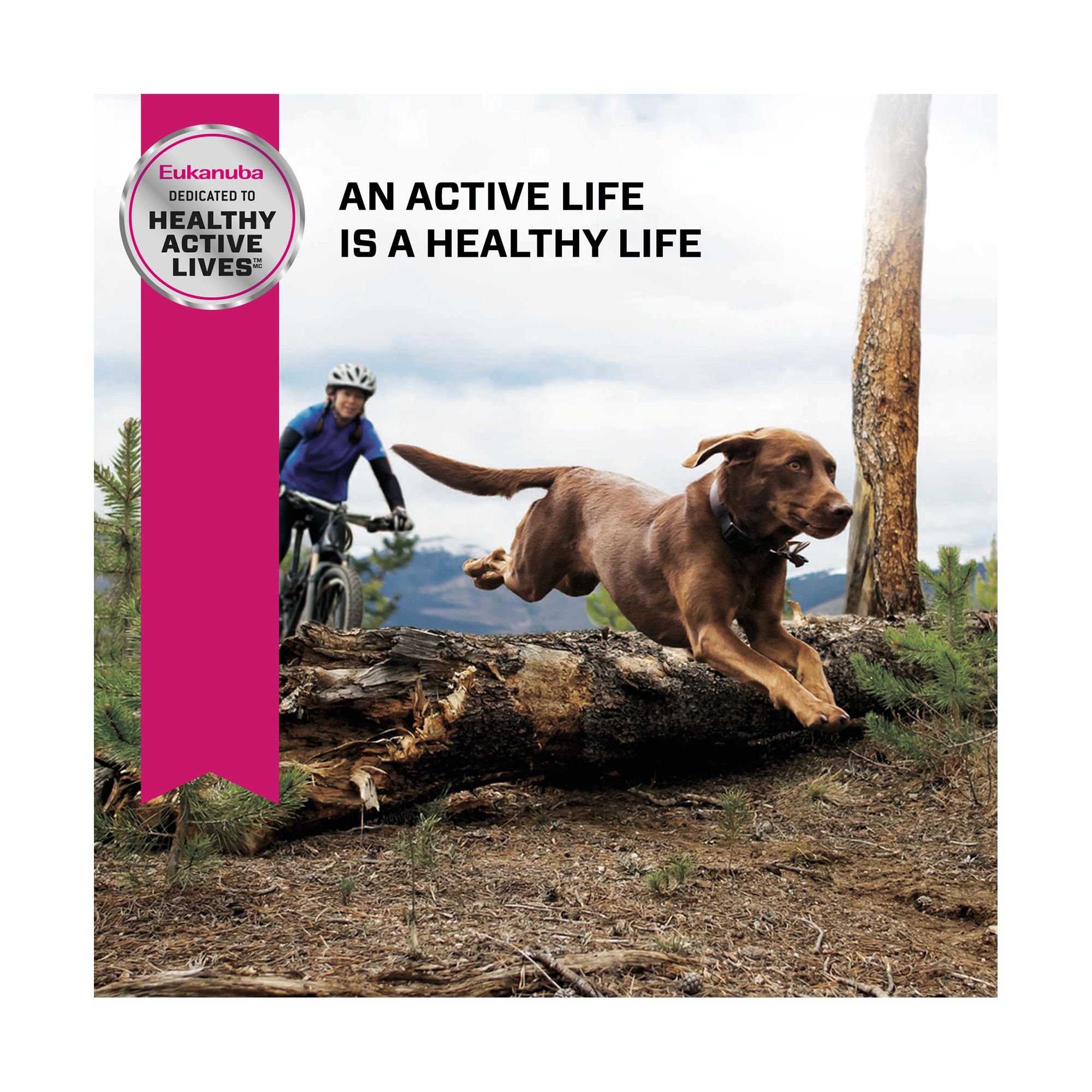 Imagen de producto 4