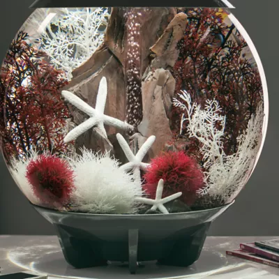 Product biOrb Artificial Aquarium Sea Fan - 15.5"